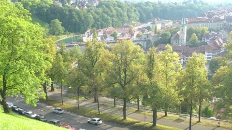 A tree lined street with a park in the background Stock Footage 313555009