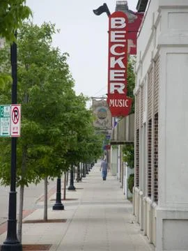 Tree-Lined Street Stock Photos