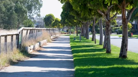 A tree-lined street provides shade over the footpath in a suburban neighborhood Vídeos de archivo 305988284
