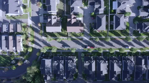 Tree Lined Suburban Street and Houses Aerial View Stock Footage 148900564