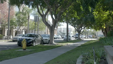 Tree-Lined Suburban Street Sidewalk with Parked Cars and Traffic Stock Footage 343967731