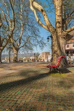Tree lined walk along the Lima River at Alameda dos Platanos Stock Photos