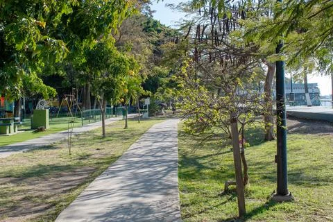 Tree-lined walking path near playground at the pier in Ajijic, Jalisco, Mexico Stock-Fotos