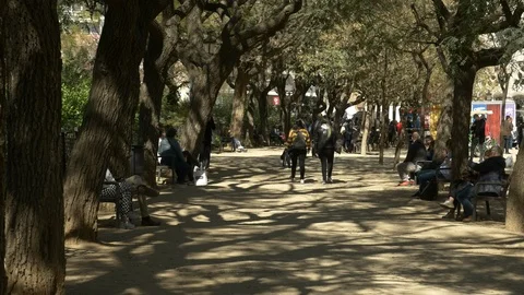 A tree-lined walking path with people on a sunny afternoon, Barcelona, Spain. Stock Footage 127264613