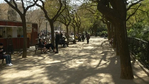 A tree-lined walking path with people on a sunny afternoon, Barcelona, Spain. Stock Footage 127265097