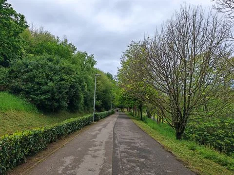 Tree-lined walking path in serene park Foto stock