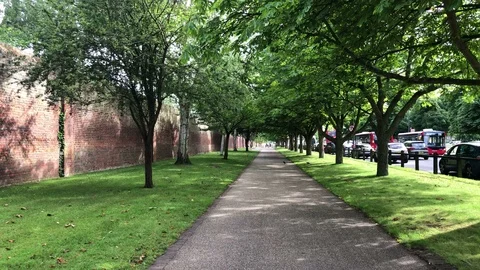 Tree lined walkway outside Hampton Court Palace Stock Footage 110892836