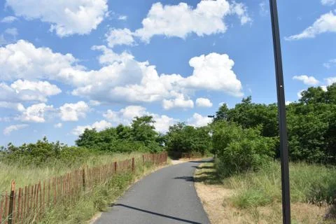 Tree Lined Walkway Stock Photos
