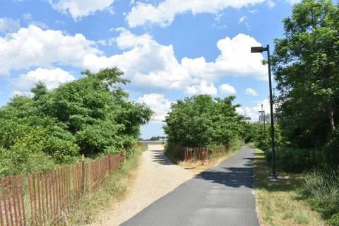 Tree Lined Walkway Stock Photos