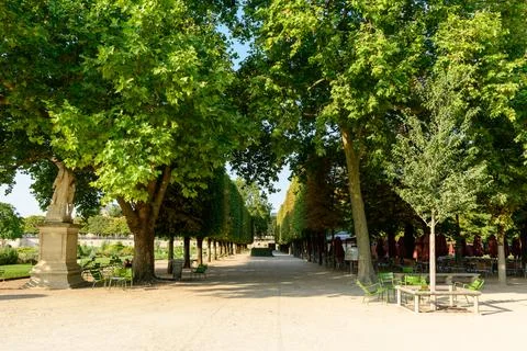 Tree-lined walkway with statue and green chairs in Jardin des Tuileries, Paris Stock Photos