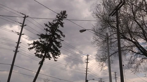 Tree on live electric power lines after ... | Stock Video | Pond5