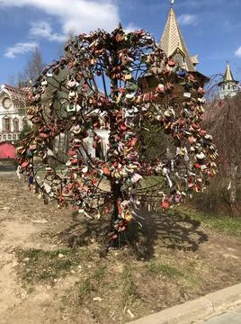 Tree with locks for luck Stock Photos