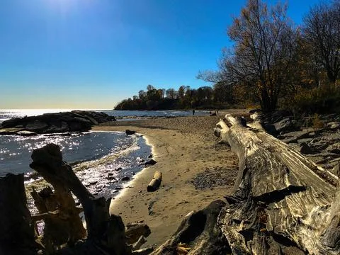 Tree log on the beach Foto stock