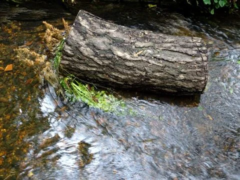 Tree Log In A Countryside Stream Stock Photos