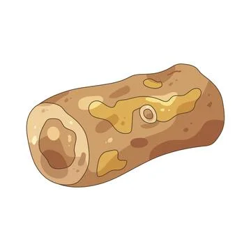 Tree log Stock Illustration