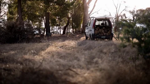 Tree log loaded on van in forest Vidéo 94881976