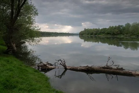 Tree log in river during overcast day Stock Photos