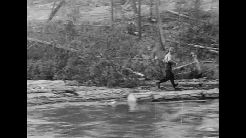 Tree Log Transportation By River Stock Footage 109226257