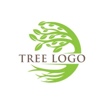 Tree Logo design vector illustration. Abstract Tree Logo vector in creative d Stock Illustration