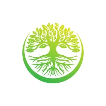 Tree Logo design vector illustration. Abstract Tree Logo vector in creative d Stock Illustration