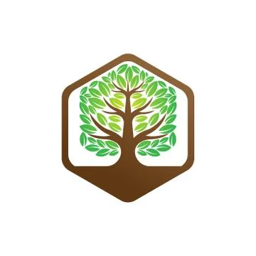 Tree Logo design vector illustration. Abstract Tree Logo vector in creative d Stock-Illustration