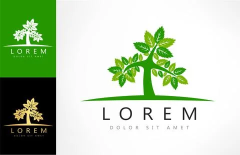 Tree logo vector. Plant Logo design vector nature illustration. Stock Illustration