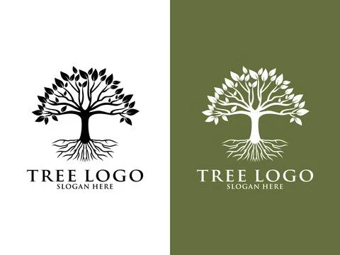 Tree Logo Vector, Tree of life logo design template isolated on white background Stock Illustration
