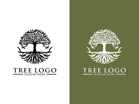 Tree Logo Vector, Tree of life logo design template isolated on white background Stock Illustration