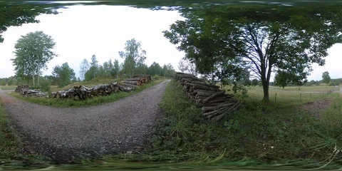 Tree Logs and Road - 360 VR Stock Footage 94511602