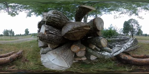 Tree Logs Up Close - 360 VR Stock Footage 94511646