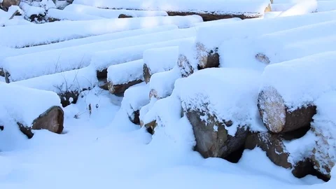 Tree logs covered with snow in winter at a sawmill Stock Footage 72411309