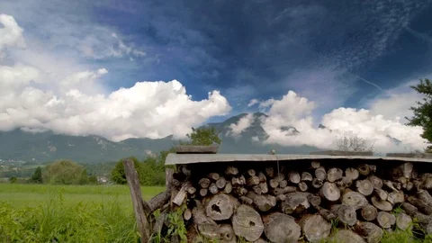 Tree logs in a grass field with mountain in the background Stock Footage 94713942