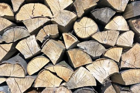 Tree logs Stock Photos