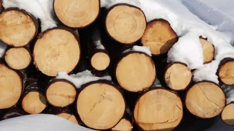 Tree logs in snow Stock Footage 143486489
