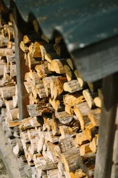 Tree logs under a shed Foto stock