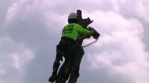 Tree lopper 3 Stock Footage 576988