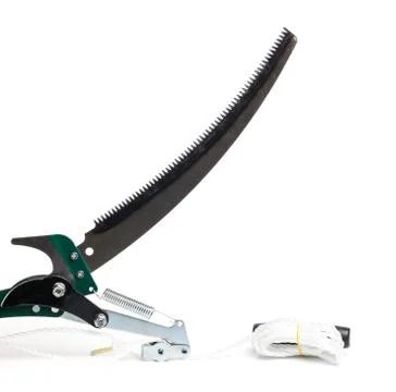 Tree lopper isolated on white background- Image Stock Photos