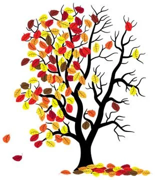 Tree loses fall foliage Stock Illustration