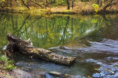 Tree lying in the river Stock Photos