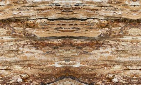 Tree macro abstract texture background Foto stock