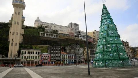 Tree made from pet bottle Stock Photos