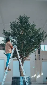 Tree making Stock Photos