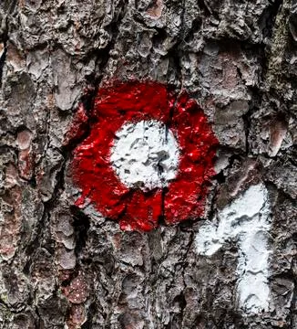 Tree mark with a number Stock Photos
