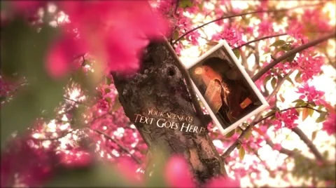 Tree of Memories 스톡 After Effects