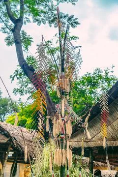 Tree mentioned (Vietnamese name is Cay Neu) - symbol of ethnic minority spiri Stock Photos