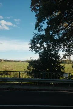 A tree is in the middle of a field Stock Photos