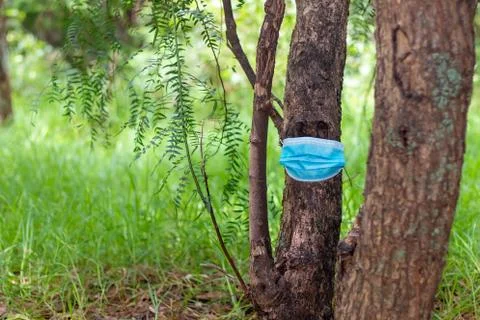 Tree in the middle of the forest wearing face masks as irony of the new norma Stock Photos