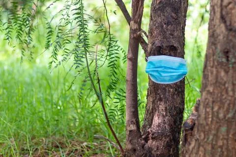 Tree in the middle of the forest wearing face masks as irony of the new norma Stock Photos