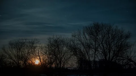 Tree at midnight with a glowing full moon Stock Footage 124160361