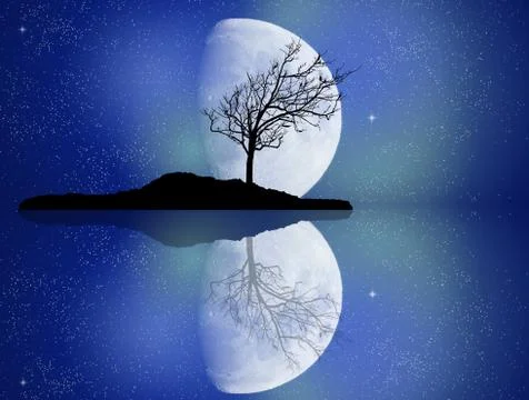 Tree in the mirror Stock Illustration